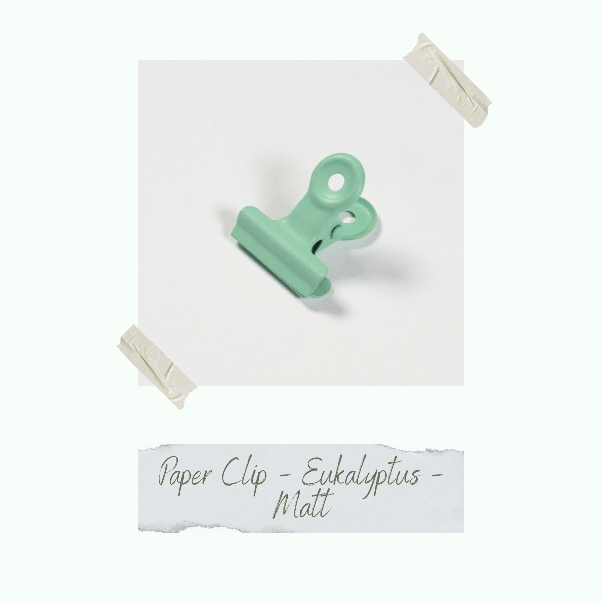 Paper Clip - Eukalyptus